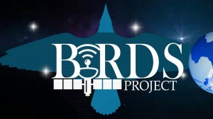 Birds Project